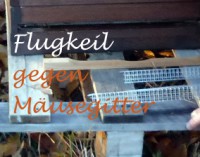 Flugkeil-gegen-Mäusegitter