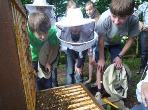 Schüler vor geöffneter Bienenbeute