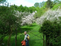 Wildensorg Obstbaumblüte