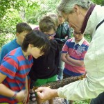 300-KHG-Bienen-AG Schüler betrachten eine Wabe mit ansitzenden Bienen