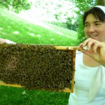 Bamberger Schulbiene hält Bienenwabe hoch