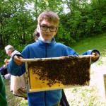 Schüler hält Bienenrähmchen