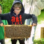 Schüler hält Bienenrähmchen