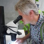 Blick ins Mikroskop, Fachzentrum Analytik
