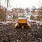 Bienenstandort an der Regnitz