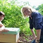 Ilona Munique und Meike Winnemuth bei den Patenbienen in Bamberg, Erba-Insel