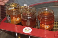 frisch gefüllte Honiggläser