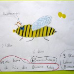 Bienenfragen auf Zeichnung Lichteneicheschule 1c