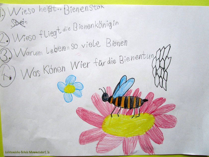 Bienenfragen auf Zeichnung Lichteneicheschule 1c