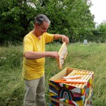Professor Horst Drechsel beim Honigernten