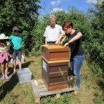 Bienenpatin Christina Michel zieht eine Honigwabe