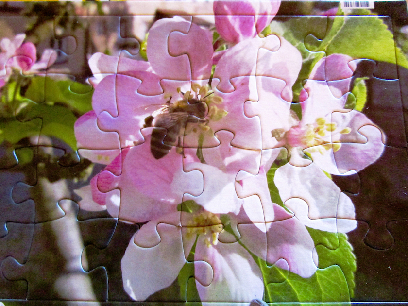 24-Teile-Puzzle aus selbsterstelltem Bienenfoto