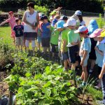 Schüler erhalten Schulbienenunterricht im Interkulturellen Garten 