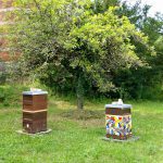 Zwei Bienenstöcke an der Sternwarte Bamberg