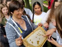 Honigschlecken am Lehrbienenstand des Erba-Parks mit der 7. Klasse Maria-Ward-Realschule Bamberg