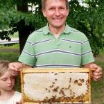 Honigschlecken am Lehrbienenstand im Erba-Park Bamberg