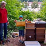 Junger Honigerntehelfer zieht Honigwabe