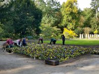 Gärtner bei der Arbeit im Alten Botanischen Garten im Hainpark Bamberg