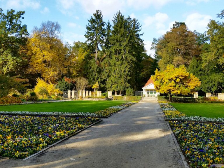 142442-hainpark-bamberg-alter-botanischer-garten | bienen-leben-in