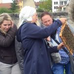 Bienenführung in der Hofstadt-Gärtnerei Dechant