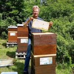 Reinhold zieht Honigwabe aus Volk von Bienenpatin Ina Kudlich