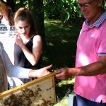 Am Lehrbienenstand, Begegnung mit Bienen