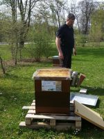 Ingo Schmitt am Lehrbienenstand Bienenweg zur BIWa-Sonntagsöffnung
