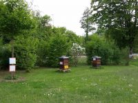 Lehrbienenstand "Bienenweg" von Bienen-leben-in-Bamberg.de