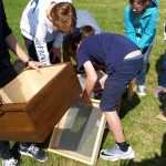 Montessori-Schüler setzen die vertreuten Teile einer Bienenwohnung (Beute) zusammen