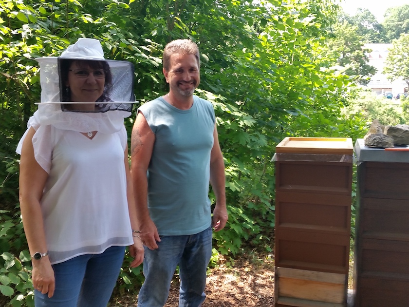 Sommers sind bereit für den Blick in die offene Bienenwohnung