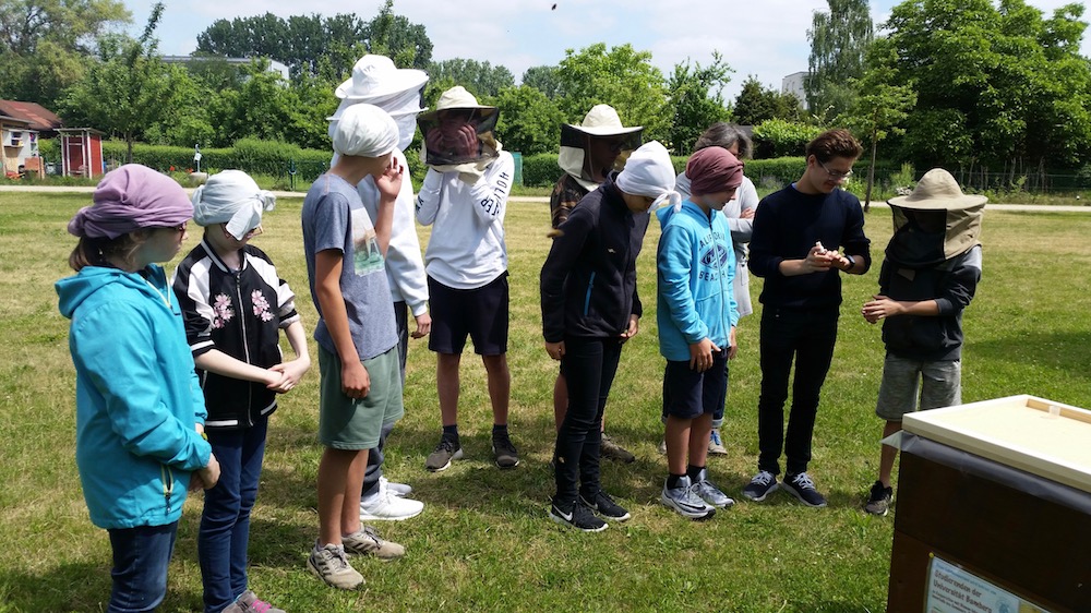 Montessori-Schüler beim Blick auf Bienen am Lehrbienenstand