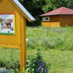 Blühwiese im Bamberger Bienengarten mit Wildbienenhotel und Bienen-InfoWabe