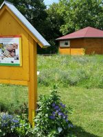 Blühwiese im Bamberger Bienengarten mit Wildbienenhotel und Bienen-InfoWabe