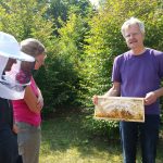 Modul 9: Honig ernten …