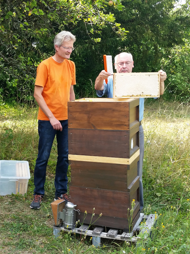 Prof. Dr. Ulrich Heber hebt eine Honigwabe aus der Beute.