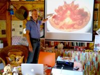 Vortrag Reinhold Burger zur Varroabehandlung