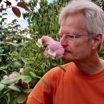 Reinhold riecht an Rosenblüte