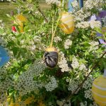 Osterei mit Biene, Geschenk anlässlich der Saisoneröffnung der Bienen-InfoWabe am 21.04.2019