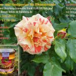 Einladung 2. Rosen- und Honigmesse Bamberg