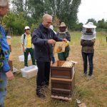 Honigernte am Bienenweg