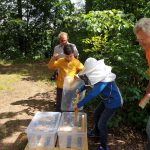 Kind befüllt Box mit Honigwabe