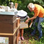 Kind hält Wabe und Reinhold kehrt Bienen ab.