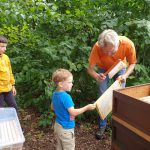 Kind hält Wabe und Reinhold kehrt Bienen ab.
