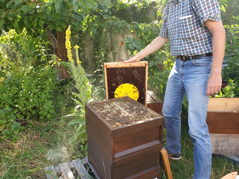 Eine Bienenflucht erleichtert das Ernten