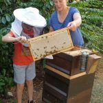 Gäste kehren Biene ab von Honigwaben.