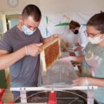Honigverarbeitung Buger Wiesen 2020