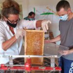 Honigverarbeitung Buger Wiesen 2020