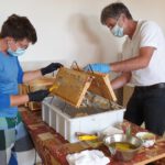Honigverarbeitung vom Bienenweg