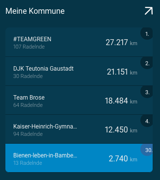 STADTRADELN 2020, Bamberg Ergebnisliste Erstplatzierte und Rangeinordnung für unser Team "Bienen-leben-in-Bamberg.de"