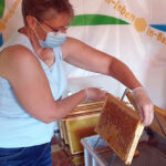 Honigverarbeitung des Bamberger Lagenhonigs der Lage Schiffbauplatz 2020